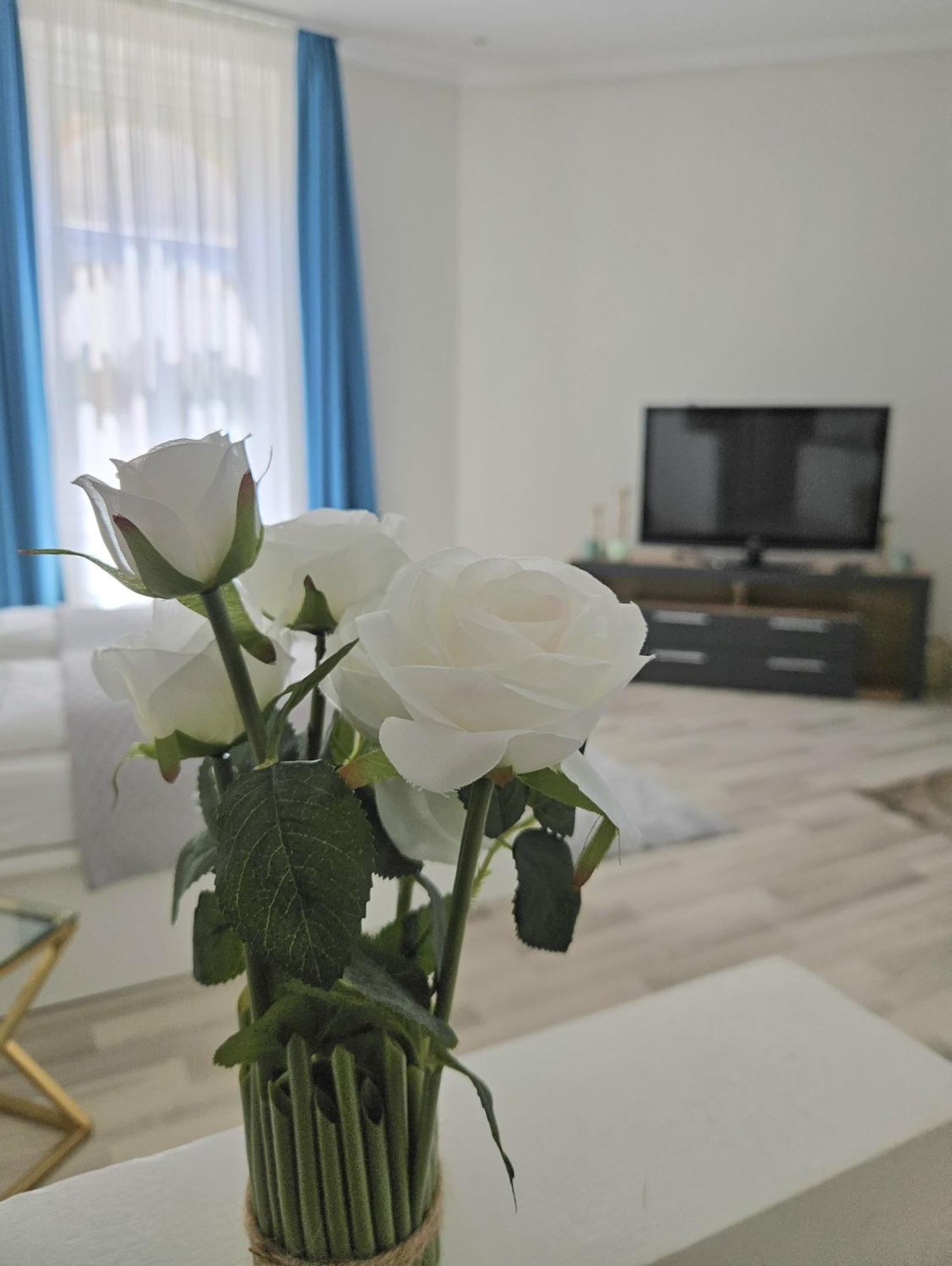 Designer Downtown Gem Appartement
